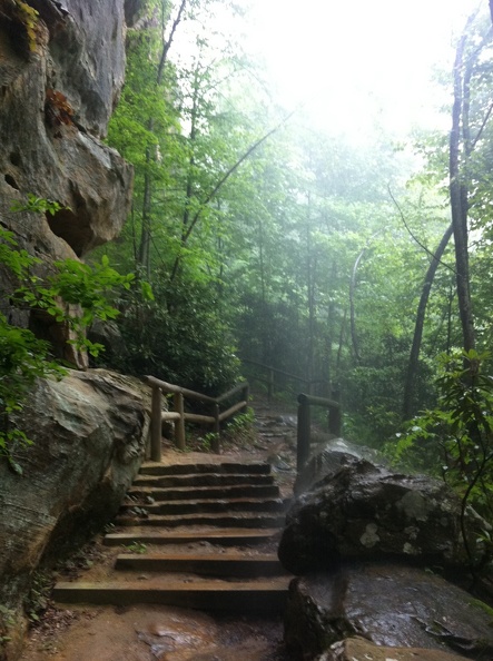 Red River Gorge Thunderstorm - 5.jpg